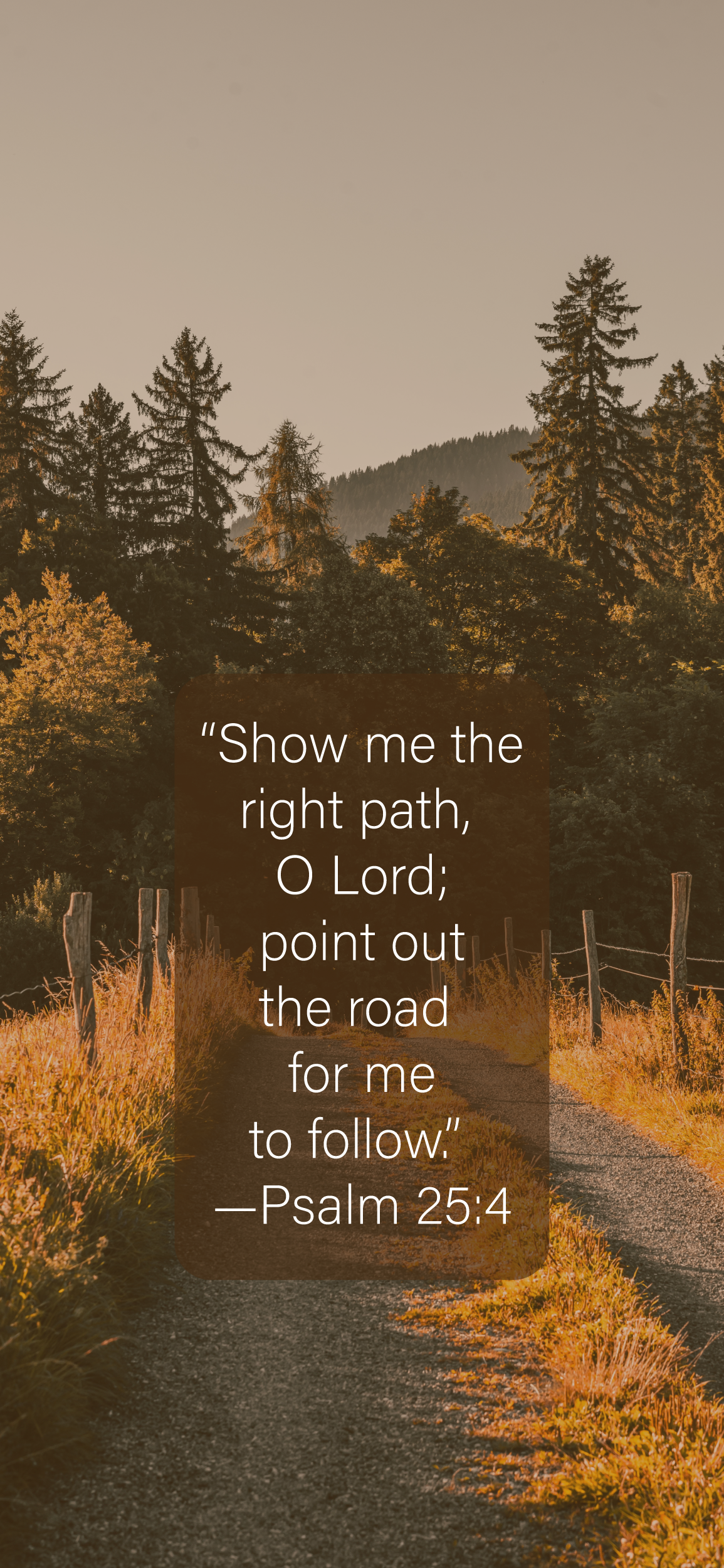 Country path in the fall with Psalm 25:4 verse