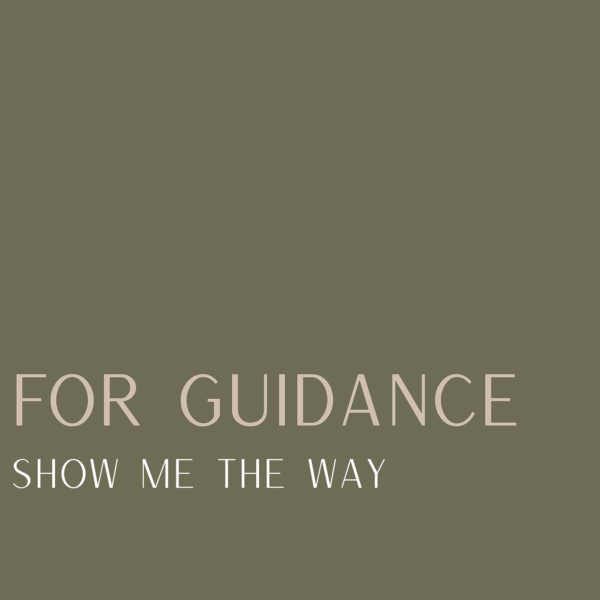 For Guidance: Show Me the Way